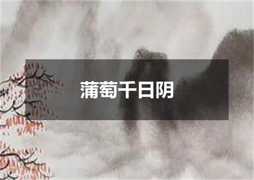 蒲萄千日阴