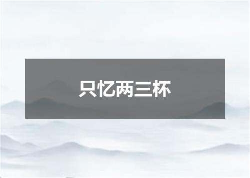 只忆两三杯