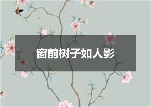 窗前树子如人影