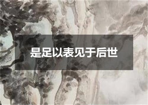 是足以表见于后世