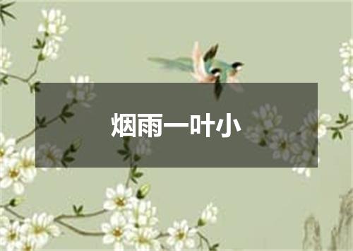 烟雨一叶小