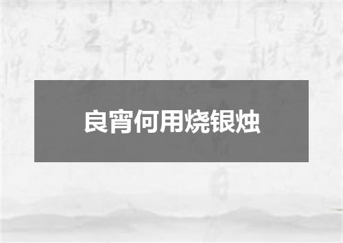 良宵何用烧银烛