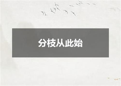 分枝从此始