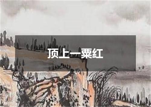 顶上一粟红