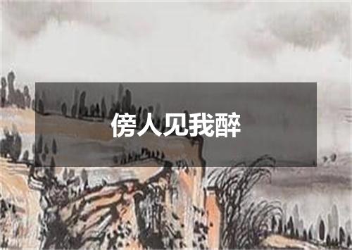 傍人见我醉