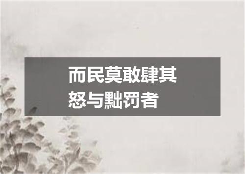 而民莫敢肆其怒与黜罚者