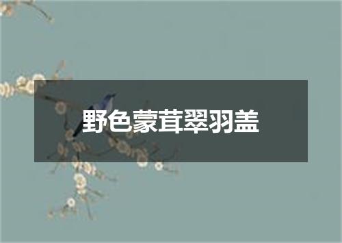 野色蒙茸翠羽盖