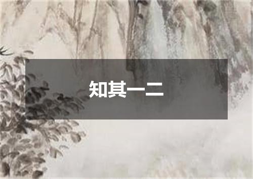 知其一二