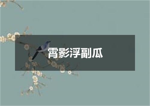 霄影浮副瓜