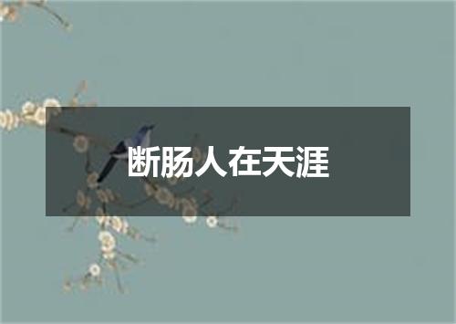 断肠人在天涯