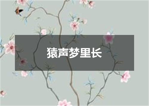 猿声梦里长