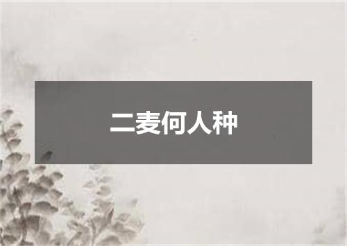 二麦何人种
