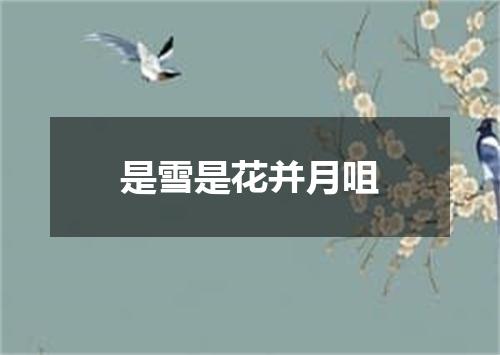是雪是花并月咀