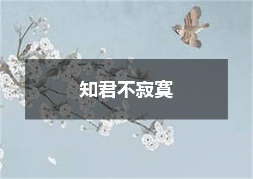 知君不寂寞