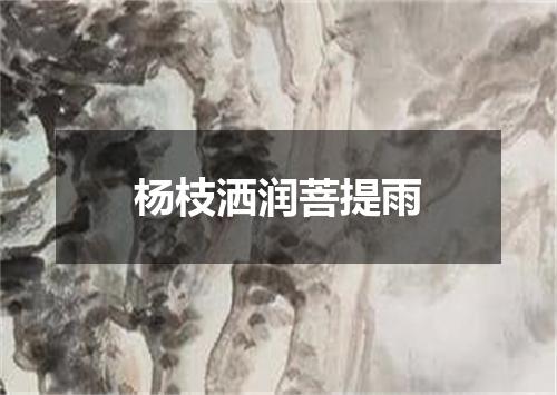 杨枝洒润菩提雨
