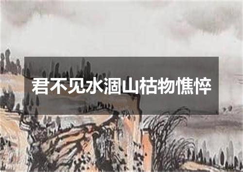 君不见水涸山枯物憔悴