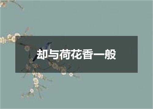 却与荷花香一般