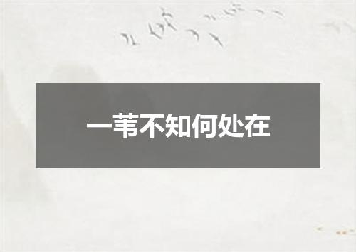 一苇不知何处在
