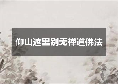 仰山遮里别无禅道佛法