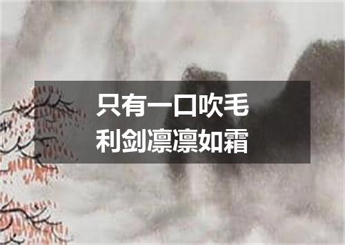 只有一口吹毛利剑凛凛如霜