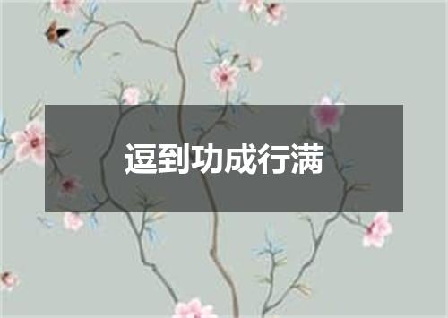 逗到功成行满