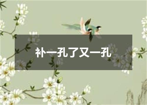 补一孔了又一孔