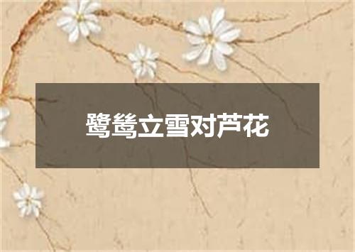 鹭鸶立雪对芦花