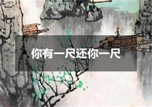 你有一尺还你一尺