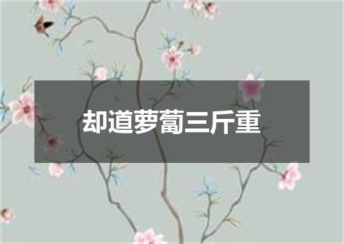 却道萝蔔三斤重