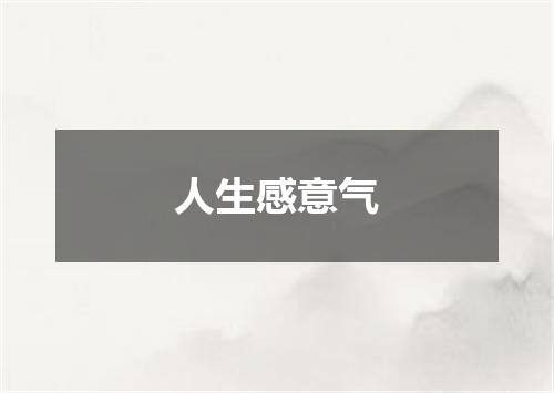 人生感意气