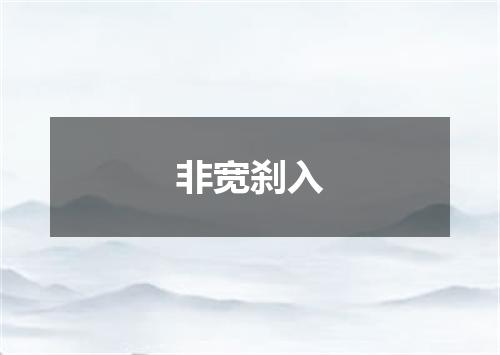 非宽刹入