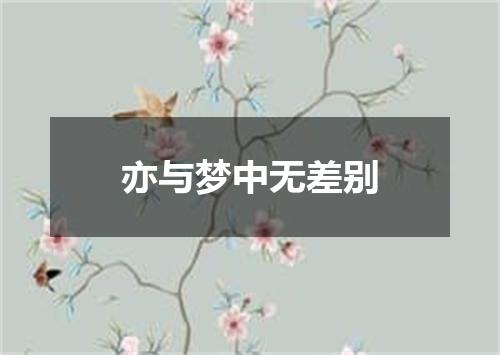 亦与梦中无差别