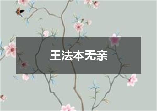 王法本无亲