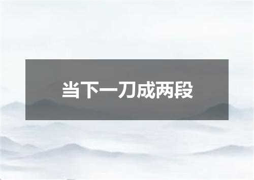 当下一刀成两段