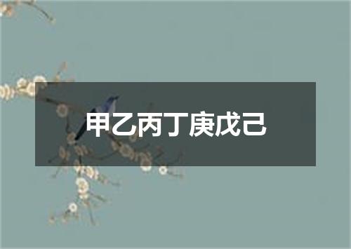 甲乙丙丁庚戊己