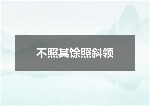 不照其馀照斜领