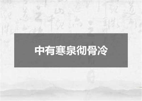 中有寒泉彻骨冷