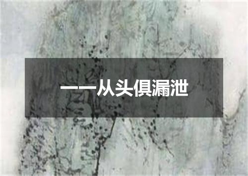 一一从头俱漏泄