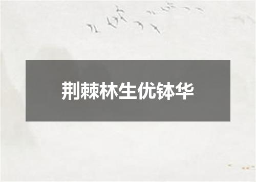 荆棘林生优钵华