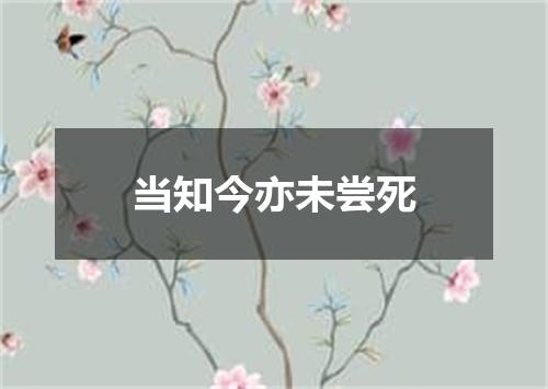 当知今亦未尝死