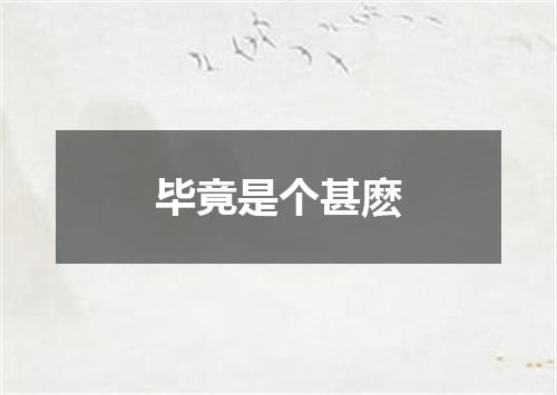 毕竟是个甚麽