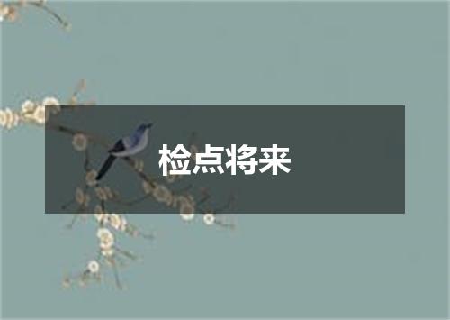 检点将来