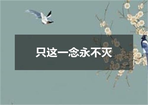 只这一念永不灭