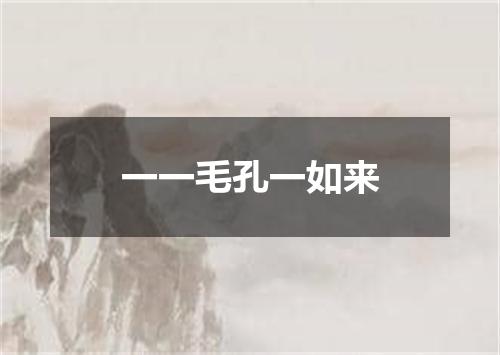 一一毛孔一如来