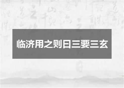 临济用之则曰三要三玄