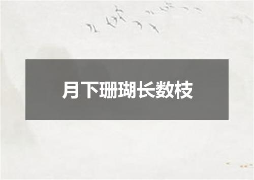 月下珊瑚长数枝