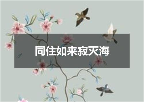 同住如来寂灭海