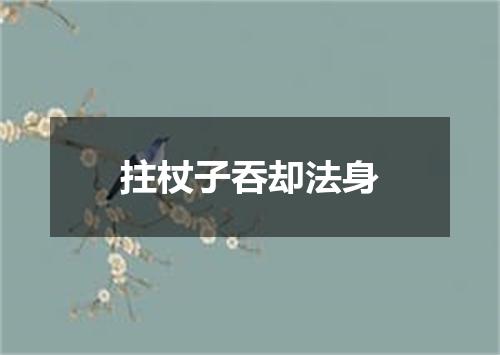 拄杖子吞却法身