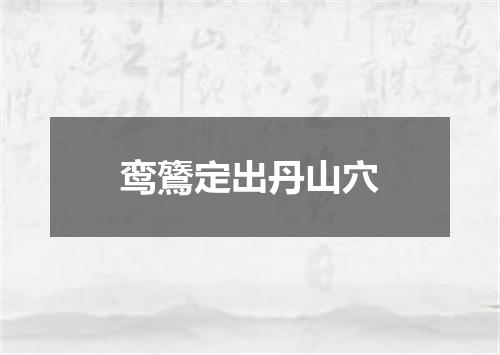 鸾鷟定出丹山穴