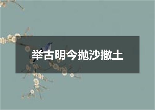 举古明今抛沙撒土